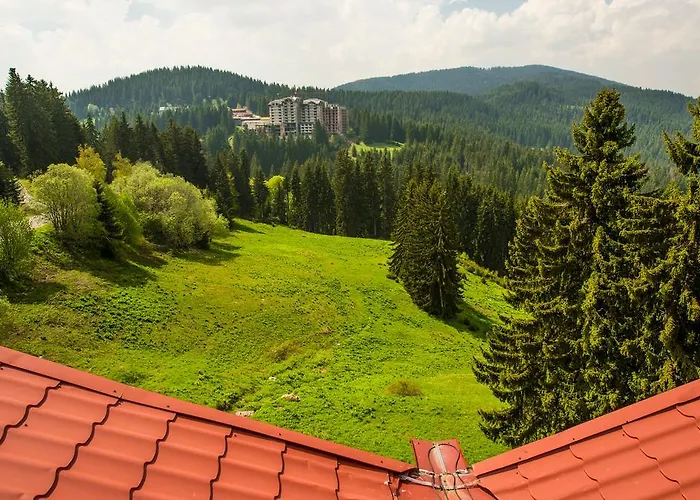 Хотел Snezhanka 3*