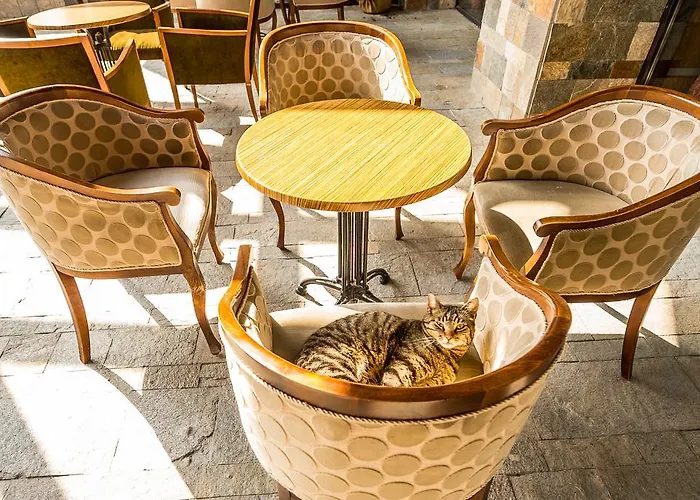 Snezhanka Пампорово